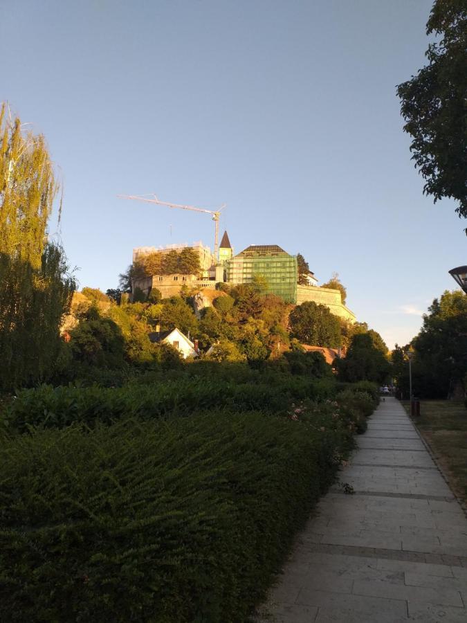 Galeria * Veszprém